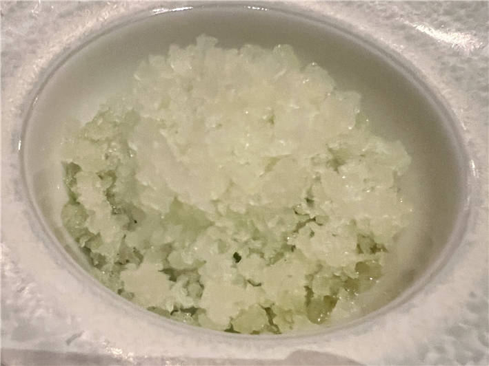 fennel sorbet